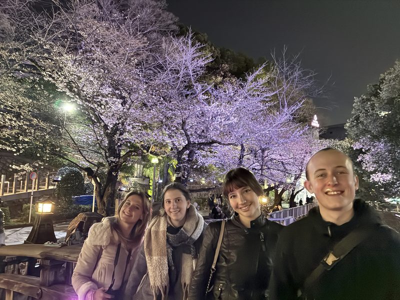 Guests under cherry blossoms lit up at night
