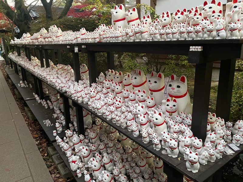Rows of white beckoning cat figures at Gotokuji temple in Tokyo