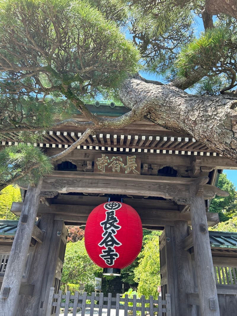 The hillside temple buildings and stone lanterns of Hase-dera