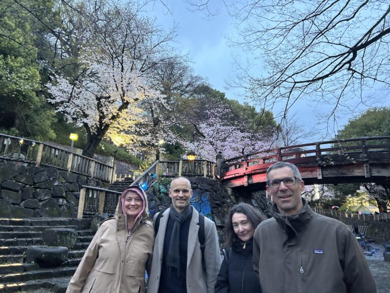 Sakura Cherry Blossom viewing with Sake Tasting & Bento box