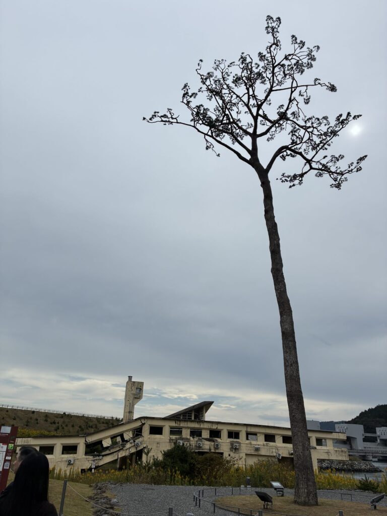 A Journey of Hope: The World Tsunami Awareness Day High School Summit in Iwate